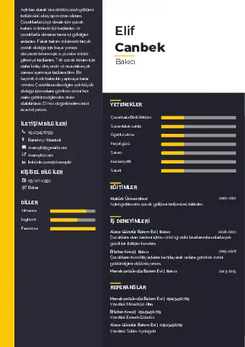 Bakıcı Cv Örnekleri cv indir